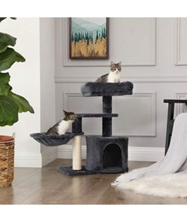 Small Cat Tower & Kitten...